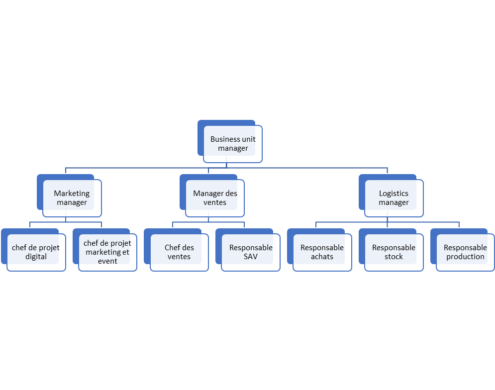 Exemple organigramme business unit